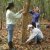 ecologia_vegetal